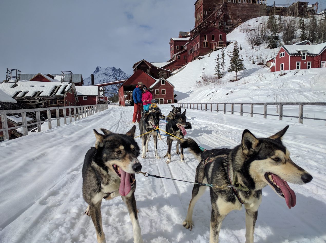 Basia Montauk with a sled dog team in Alaska. Photo courtesy of Basia.